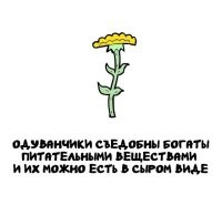 Только они горькие, проворно опытным путем в детстве.