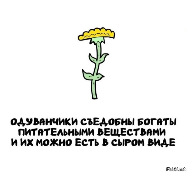 Только они горькие, проворно опытным путем в детстве.
