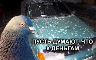 Гелендваген превратили в 820-сильный кабриолет
