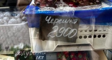 Ха! А черешнепрёмник нынешнюю черешенку осилит?