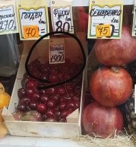 Ха! А черешнепрёмник нынешнюю черешенку осилит?