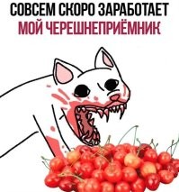 Ха! А черешнепрёмник нынешнюю черешенку осилит?