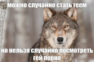 вот такой вопрос - откуда они узнали что он порно актер?