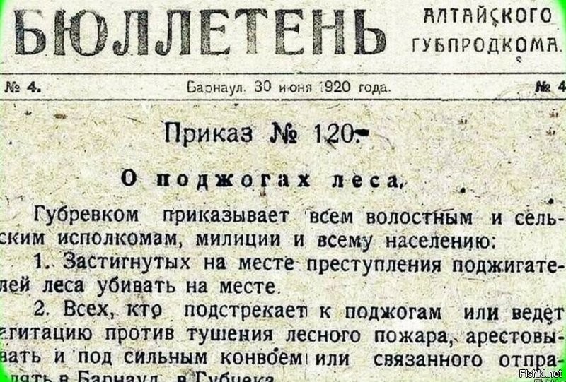 Нашли следы поджигателей, устроивших лесной пожар, угрожающий десяткам деревень в Забайкальском крае