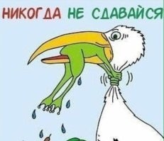 Не ищите здесь смысл. Здесь в основном маразм