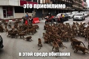 Повесточка на фишках, последнее время не меняется...