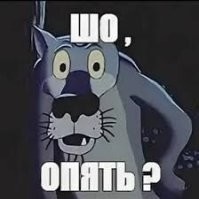 Адаму Кадырову вручили новую медаль