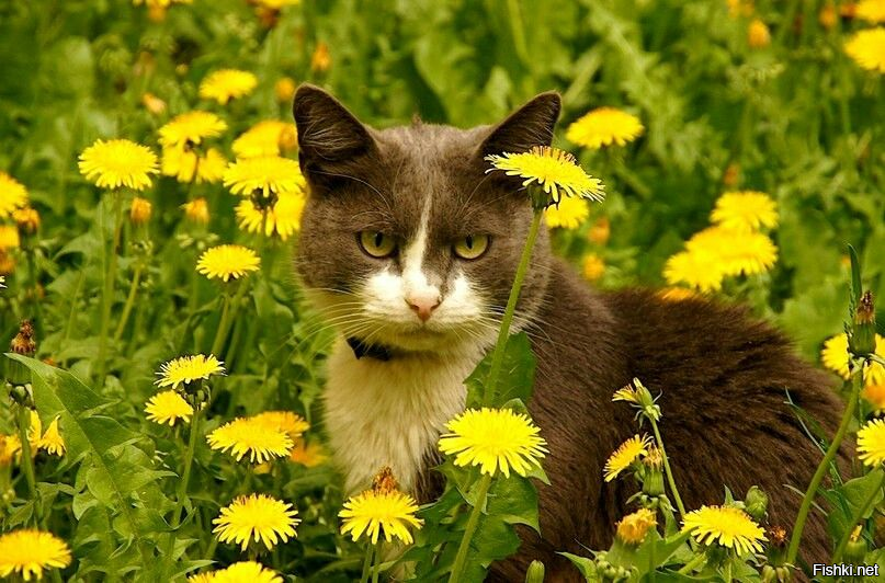 Солянка от 13.05.2025