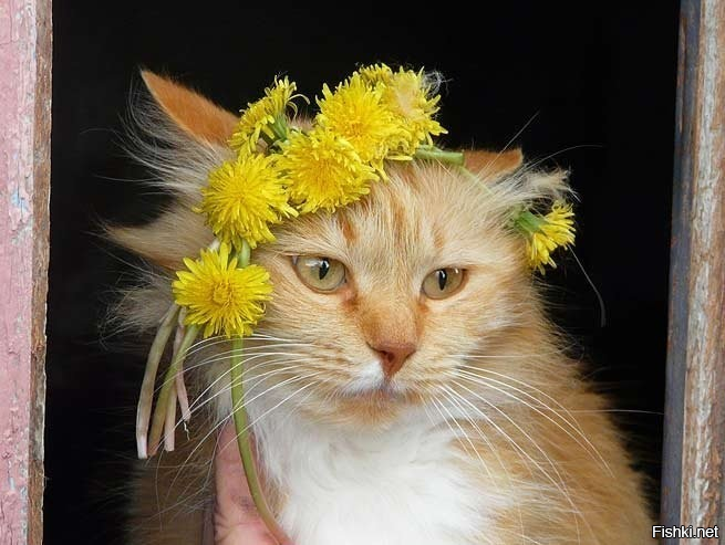 Солянка от 13.05.2025