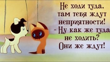 Выехал на встречную  и теперь задаёт вопросы "кто виноват?"