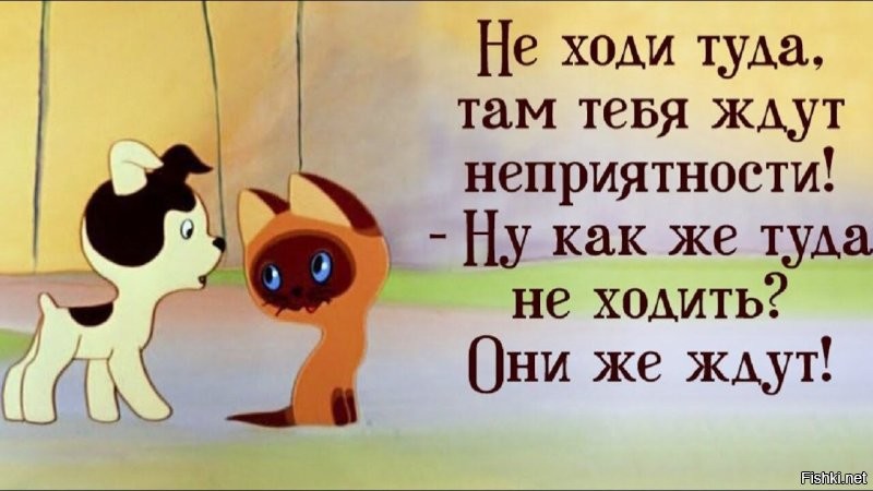 Выехал на встречную  и теперь задаёт вопросы "кто виноват?"