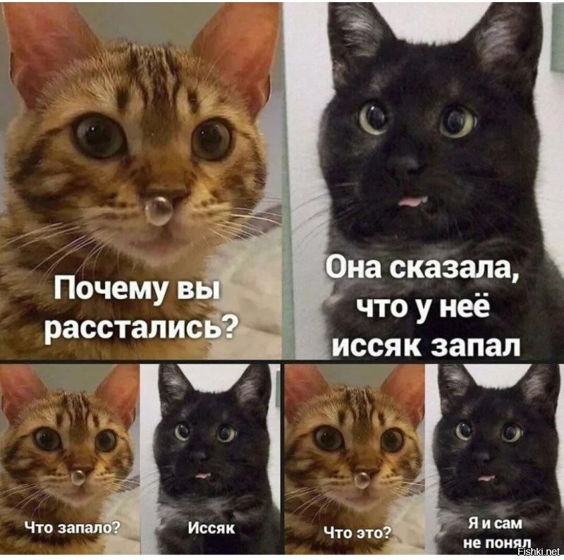Скрины из соцсетей