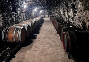 Поселите меня туда, я буду там жить!