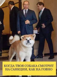 Политическая рубрика от&nbsp;NAZARETH за&nbsp;14.05.25. Новости, события, комментарии - 1839/вечер/