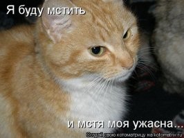Кот обязательно отомстит