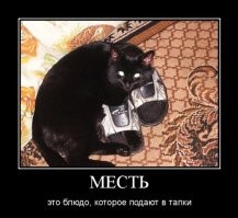 Кот обязательно отомстит
