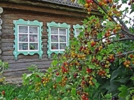 «Я в Чебоксары хотел»
