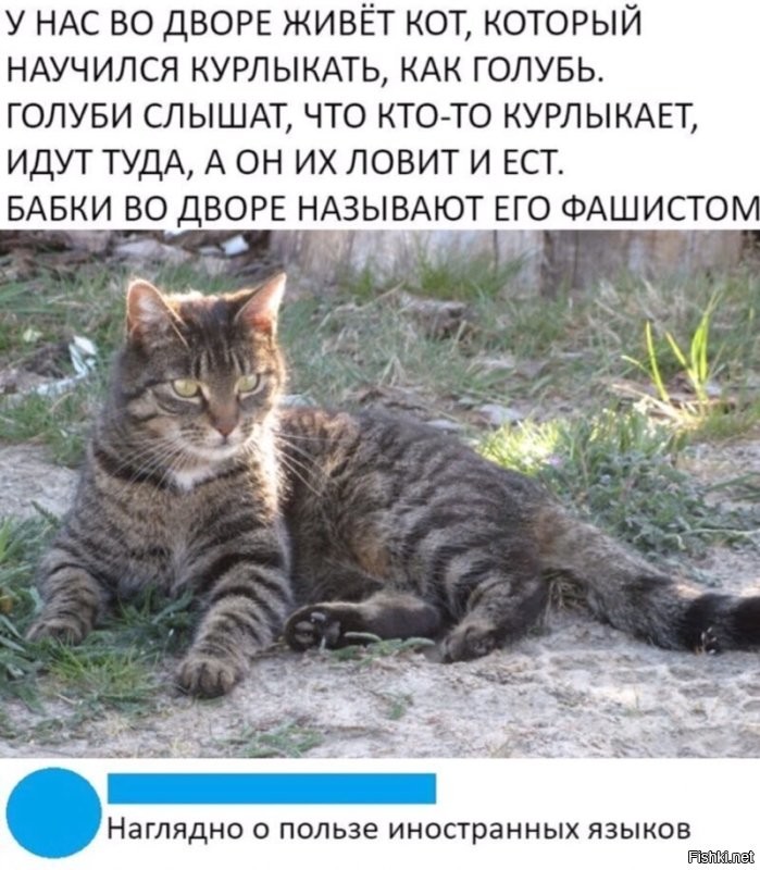 Воистину так)