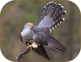 Ляя! Я походу лоханулась!