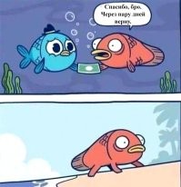 Скрины из соцсетей