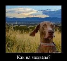 Большая тарелка улыбатора