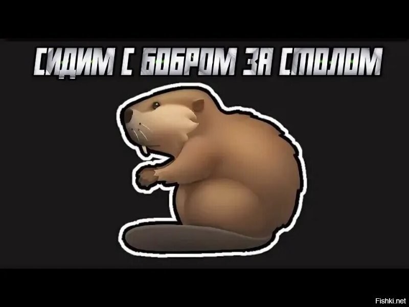 А как же бобёр?