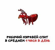 А рабочие люди днем вообще не спят.