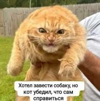 Первый пост, для поднятия настроения