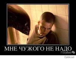 Демотиваторы — приколы для всех и для каждого
