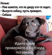 Полностью...