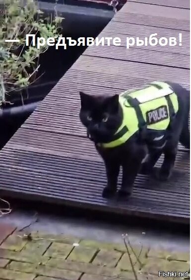 Солянка от 15.05.2025