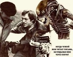 Демотиваторы — приколы для всех и для каждого