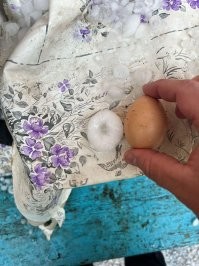 Ставропольский край в воскресенье 11.05