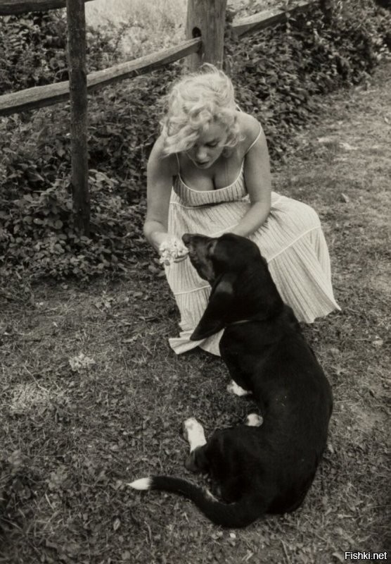 Интересно, кто такой Хьюг, что у его Marilyn Monroe в собаках ходила....