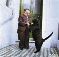 Тут автор явно ошибся с идентификации животного