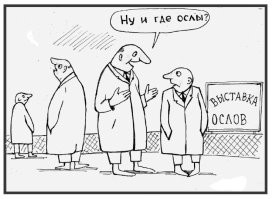 В США провели эксперимент, чтобы показать, как работает эффект толпы