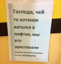 Демотиваторы — приколы для всех и для каждого