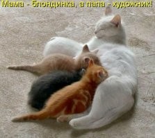 30 случаев на миллион, в которые трудно поверить