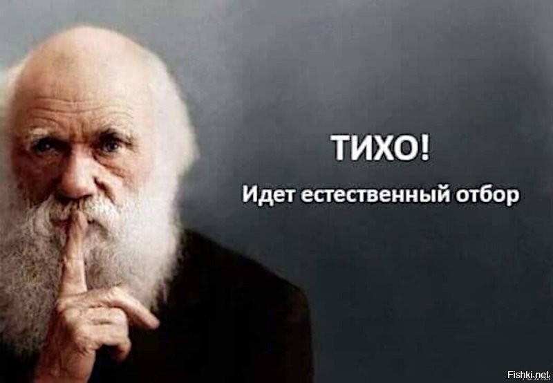 Полёт за премией Дарвина