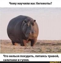 Не ищите здесь смысл. Здесь в основном маразм