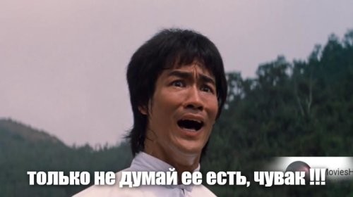 Петербуржец обнаружил в унитазе летучую мышь