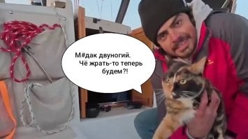 Мужчина уволился с постоянной работы, отправился в путешествие по Тихому океану вместе со своей кошкой
