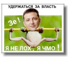 О политике и не только