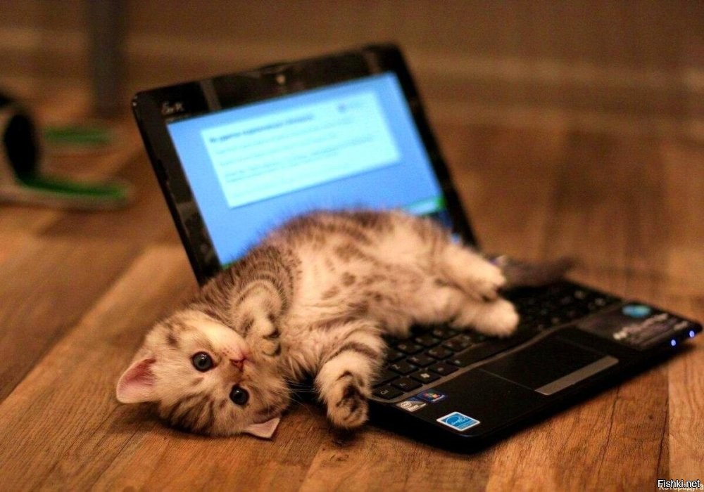 Как ? Уже утро ? Ох ....
Доброе ..... , Оксана