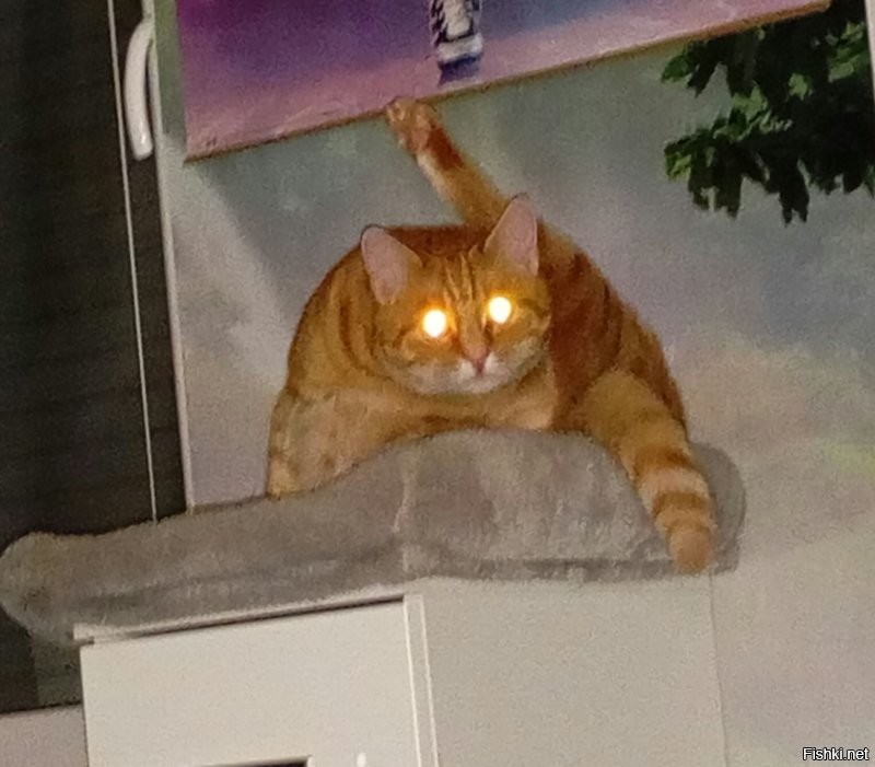 Наш хышник