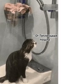 Просто гифки, всякие и&nbsp;разные