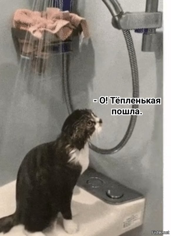 Просто гифки, всякие и&nbsp;разные
