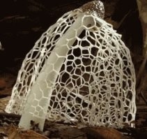 Гифка хоть и старая, но красивая - как невеста в фате.