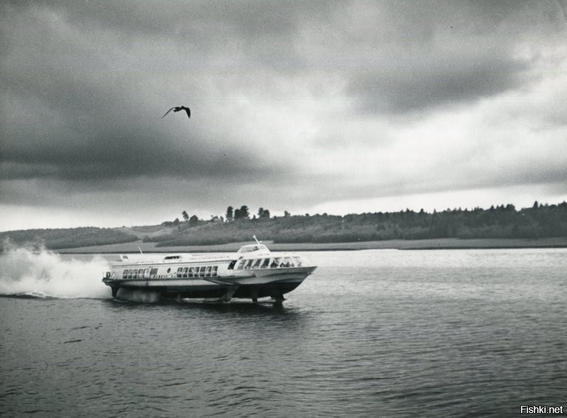 Волга. Июнь 1963г.