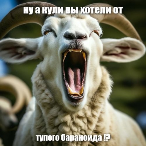 "Эээ, как дверь открыть?": в Нижневартовске нервный мигрант сорвался на «умный домофон»